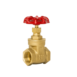 BRASS GATE VALVE